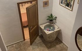 Studio Apartment Vicelic